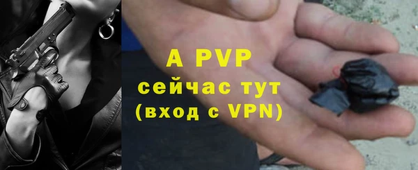 амф Алексин