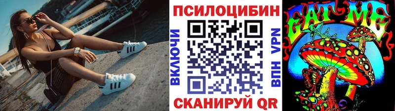 где продают   Ермолино  Галлюциногенные грибы Magic Shrooms 